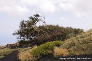 rra delle Concazze-05-08-2014 15-26-30